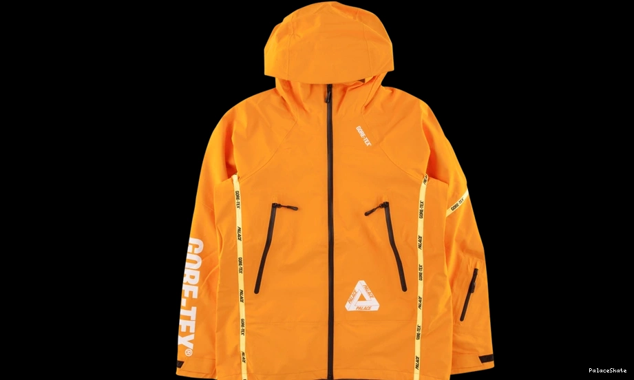 Cheap Palace Gore-Tex Palex Jacket 0716